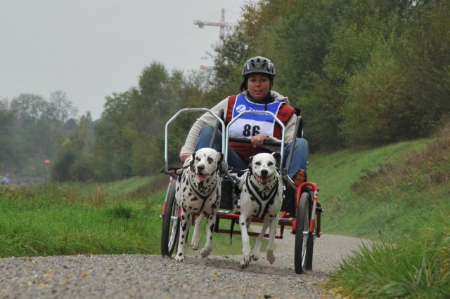 Rennen Weinfelden